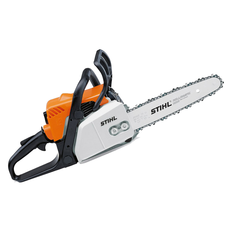 In particular Explanation fruits Drujba Stihl MS 170 | review, pret, pareri